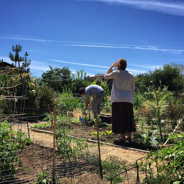 I derive anxiety from my garden